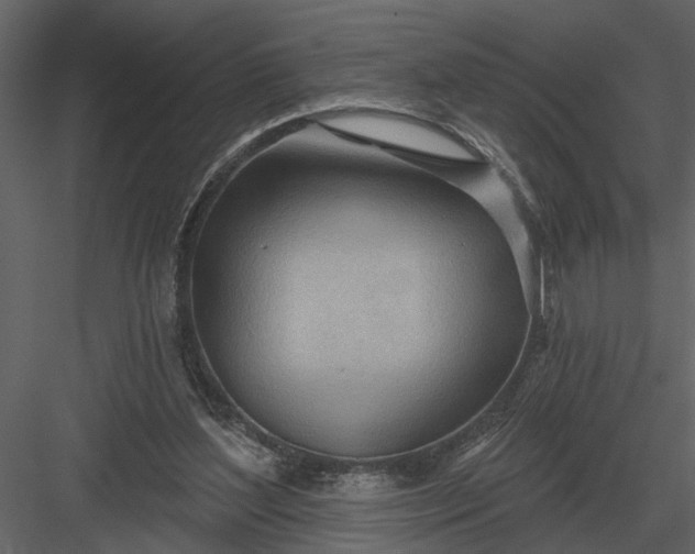 X0000083550204200702240120