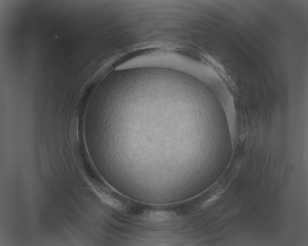 X0000083550205200702240120