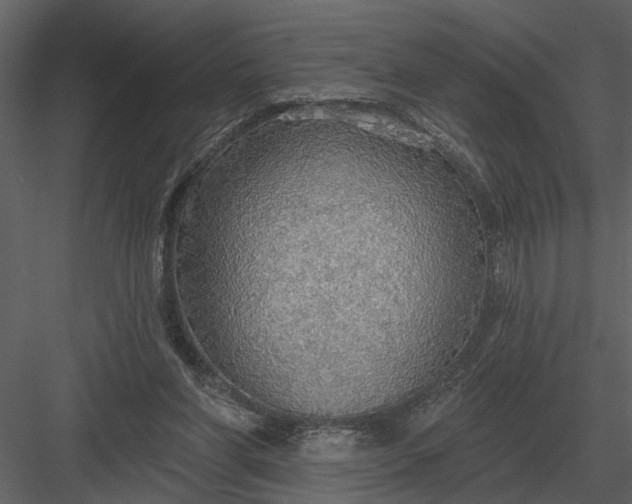 X0000083550206200702240120