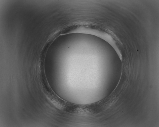 X0000083550207200702240120