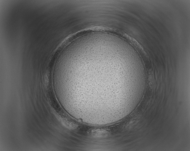 X0000083550208200702240120
