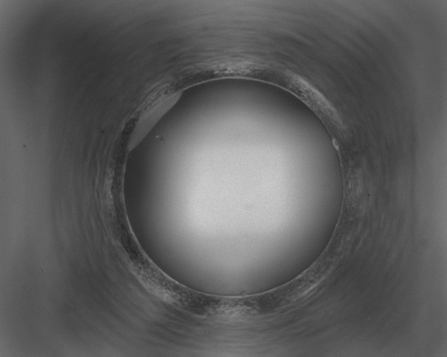 X0000083550209200702240120