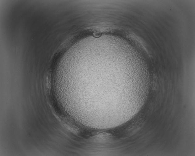 X0000083550210200702240120