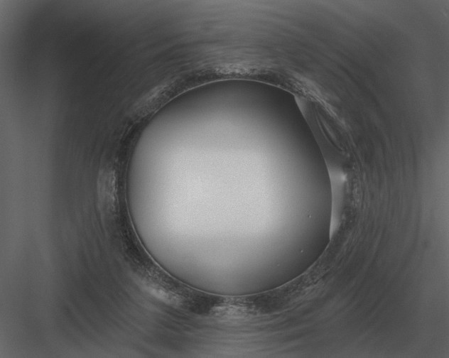 X0000083550211200702240120