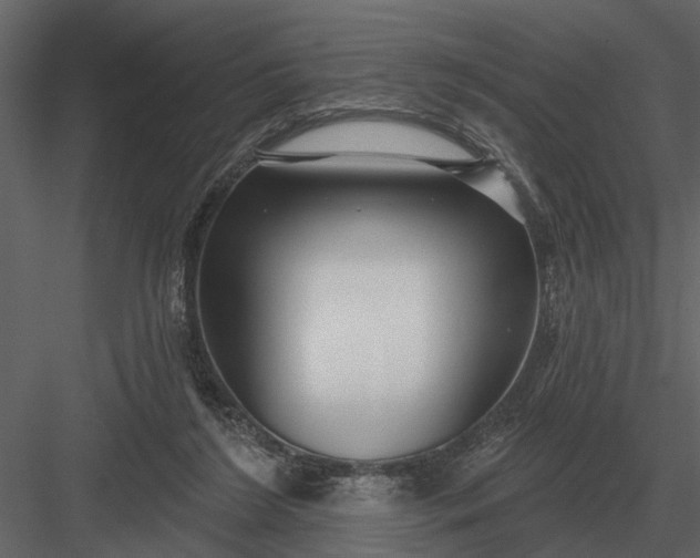 X0000083550212200702240120