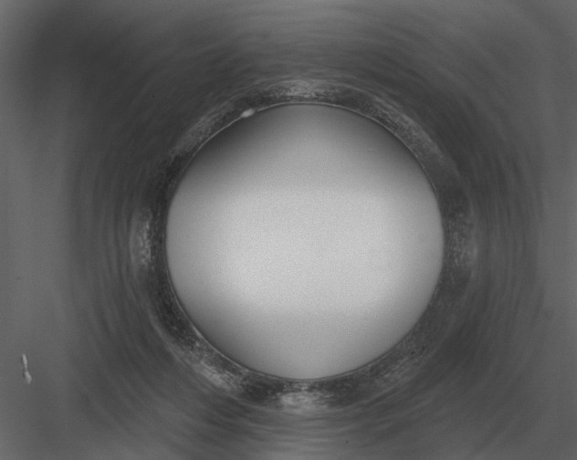 X0000083550216200702240120