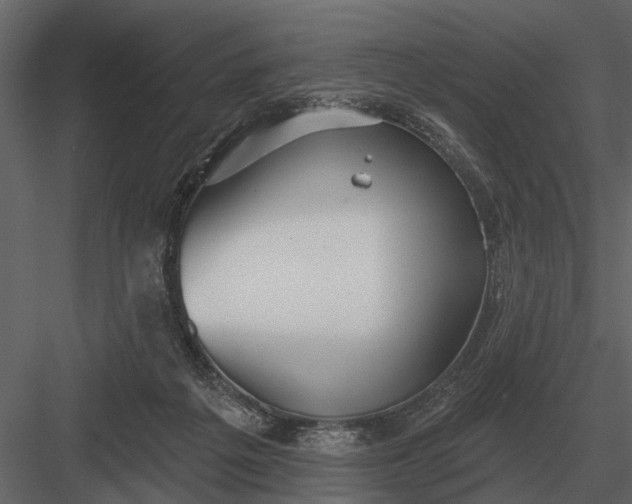 X0000083550217200702240120