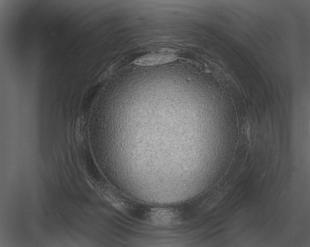 X0000083550218200702240120