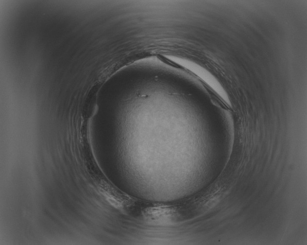 X0000083550219200702240120