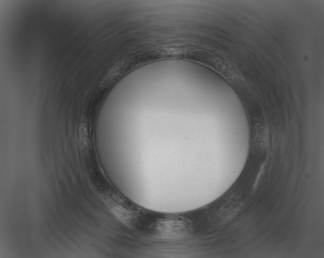 X0000083550220200702240120
