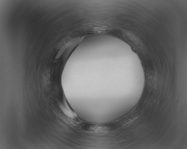 X0000083550221200702240120