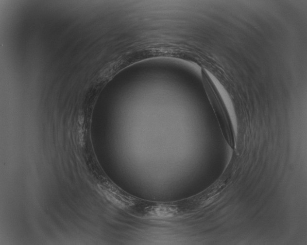 X0000083550223200702240120