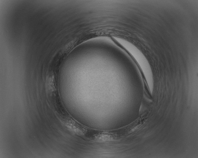 X0000083550224200702240120
