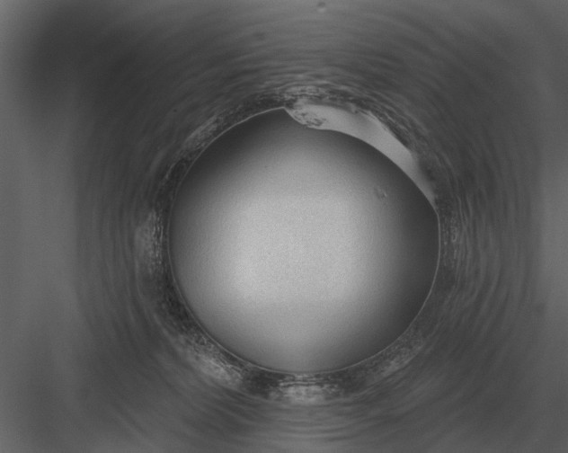X0000083550228200702240119
