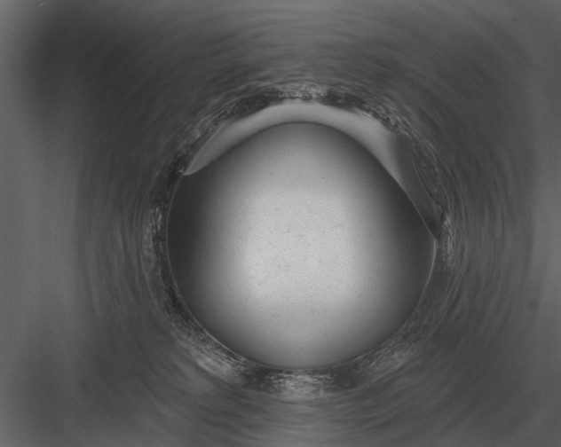 X0000083550229200702240119