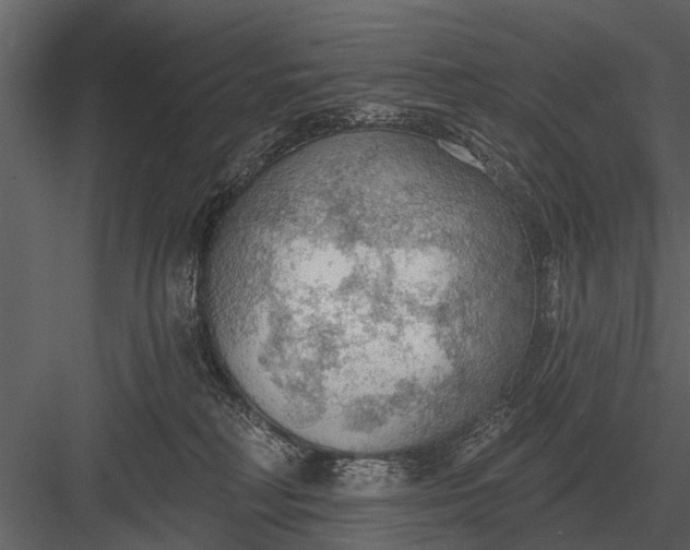 X0000083550230200702240119