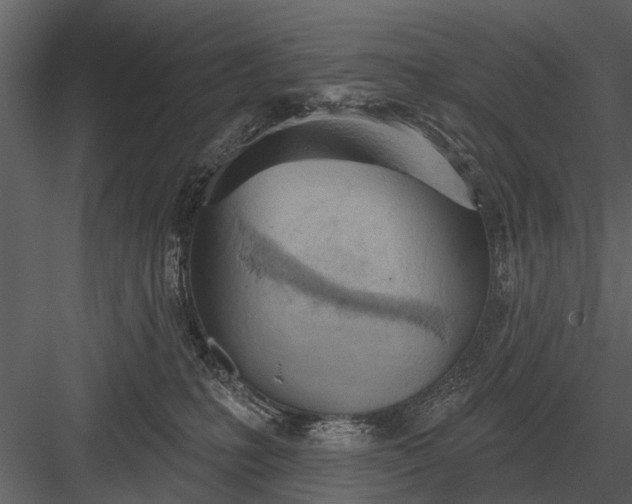 X0000083550231200702240119