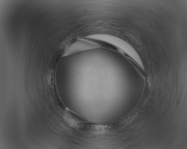 X0000083550233200702240119