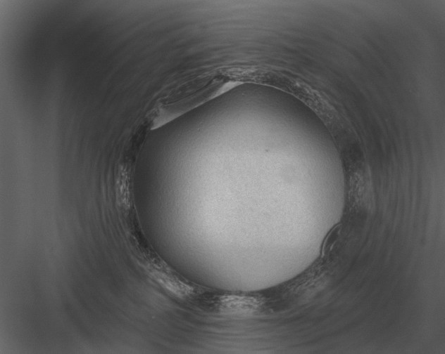 X0000083550234200702240119