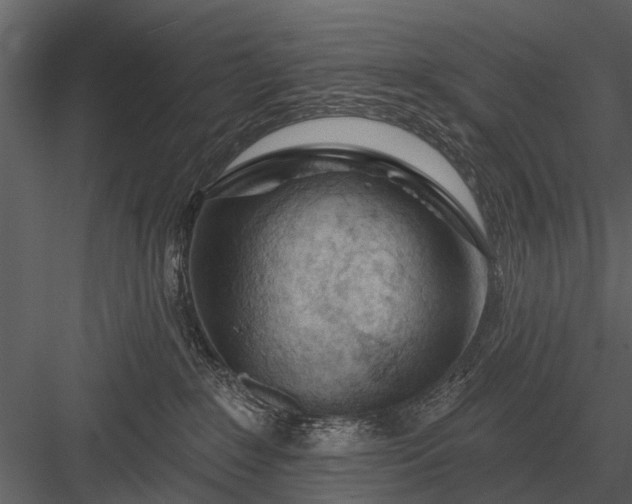 X0000083550235200702240119