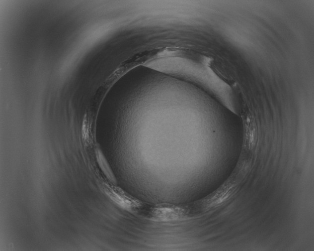 X0000083550239200702240119