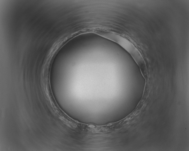 X0000083550241200702240118
