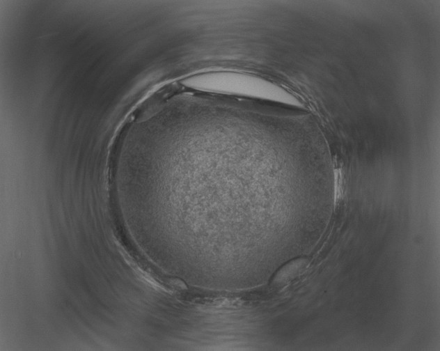 X0000083550243200702240118