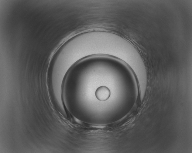 X0000083550244200702240118
