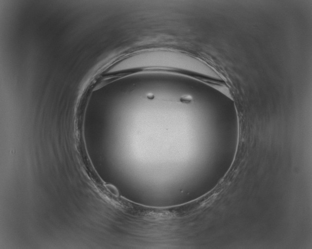 X0000083550245200702240118