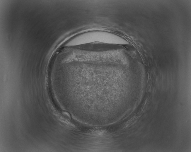 X0000083550247200702240119