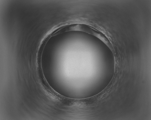 X0000083550248200702240119