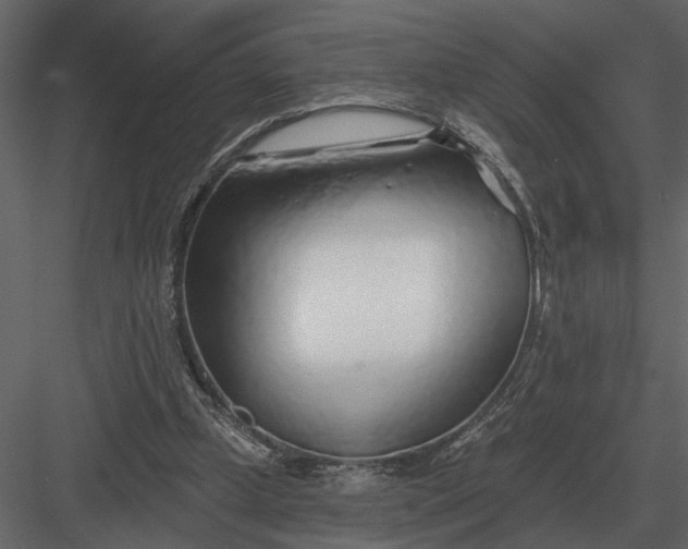 X0000083550249200702240119