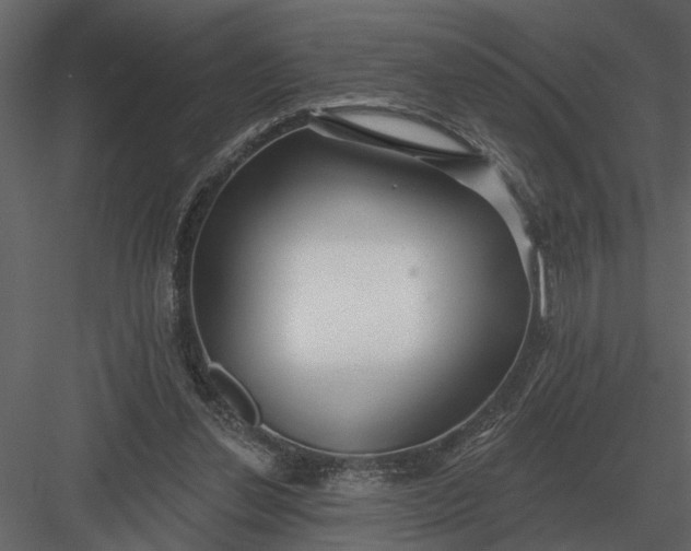 X0000083550252200702240119