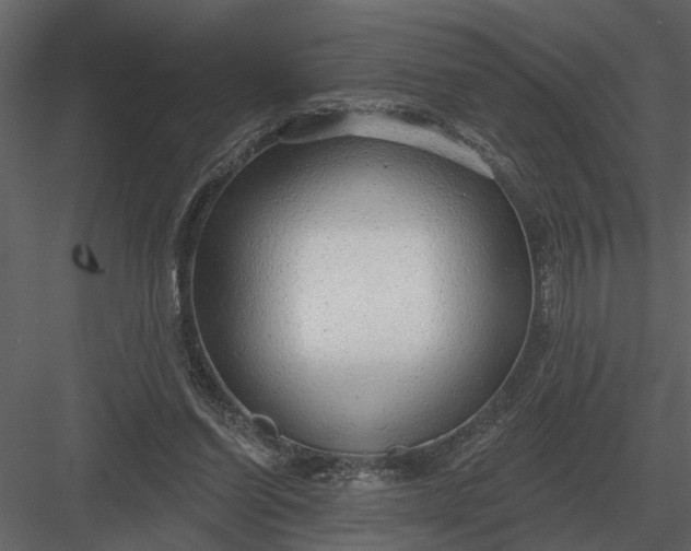X0000083550254200702240119