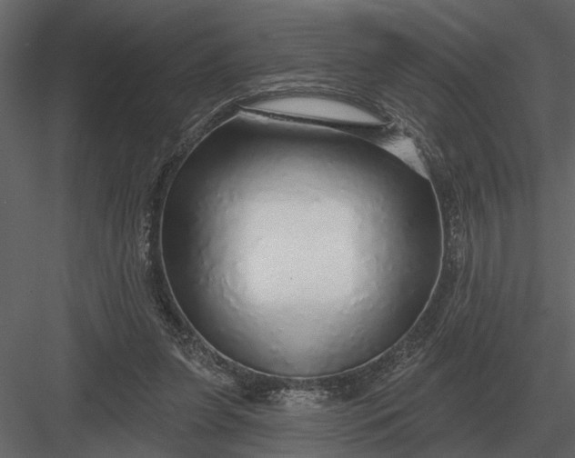 X0000083550255200702240119