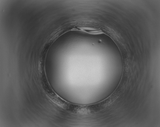 X0000083550258200702240119