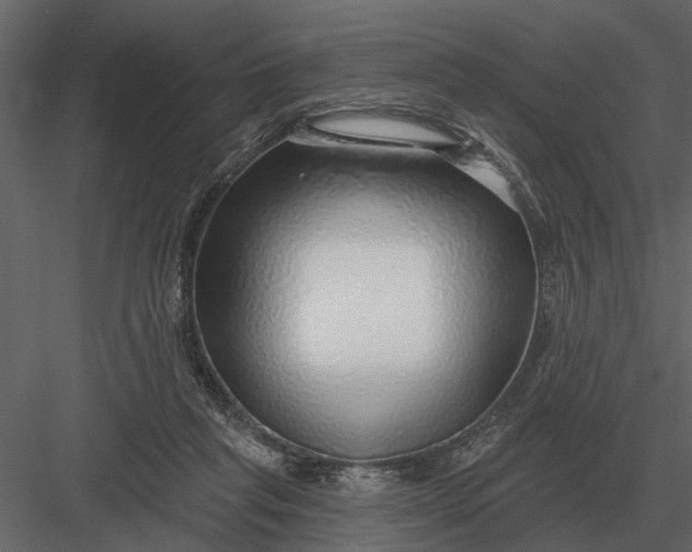 X0000083550261200702240119