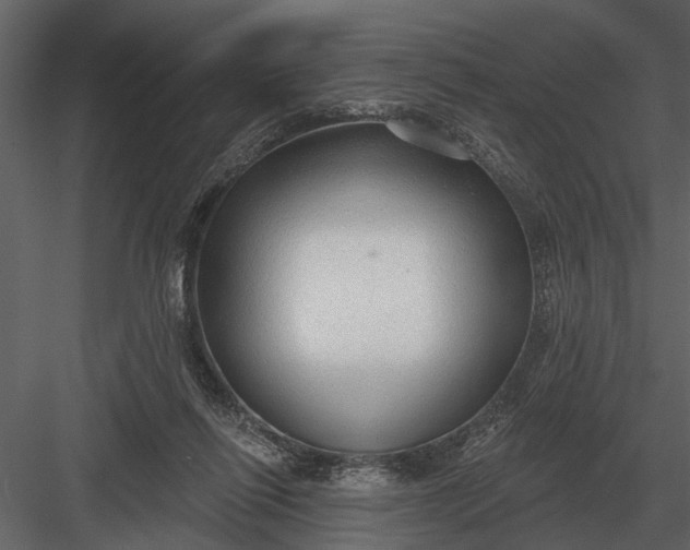 X0000083550262200702240119