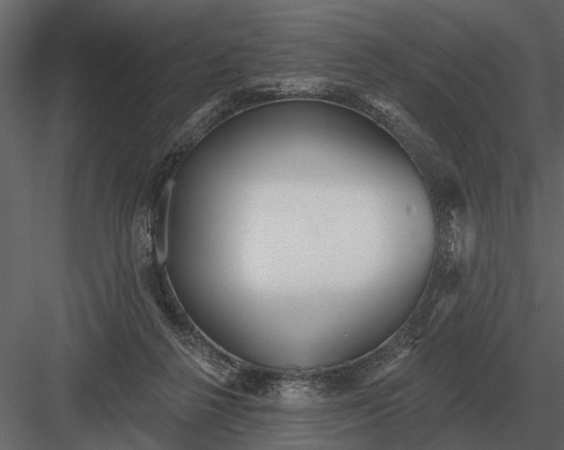 X0000083550264200702240119