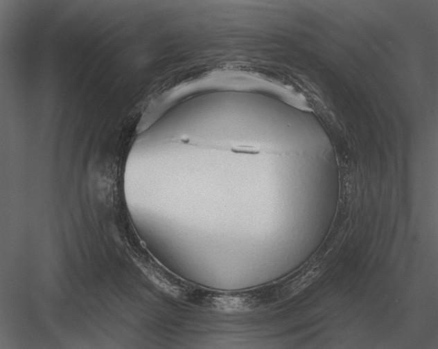 X0000083550265200702240119