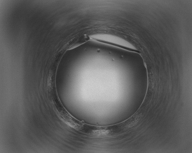 X0000083550266200702240119