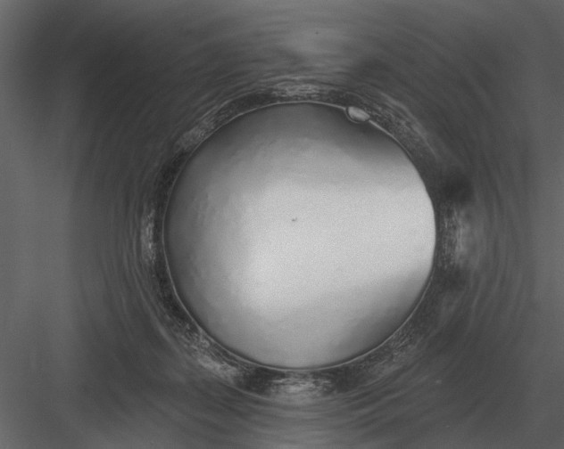 X0000083550267200702240119