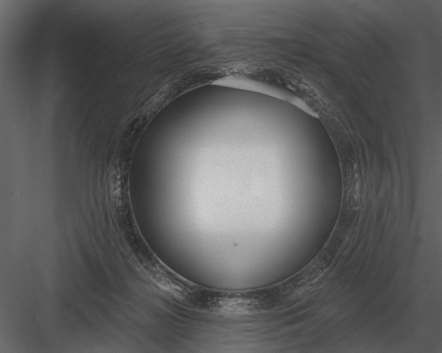 X0000083550268200702240119