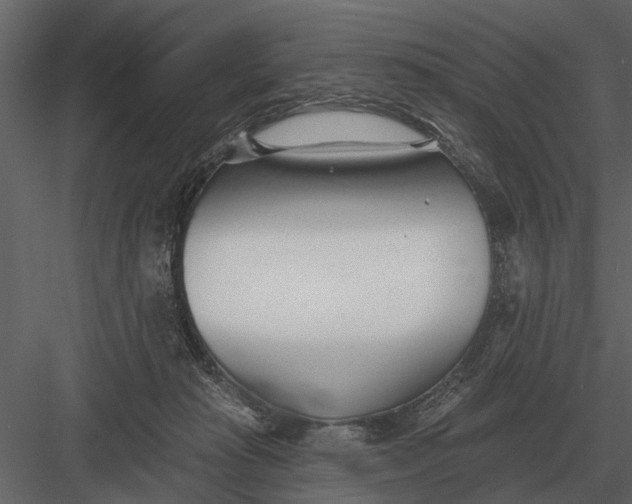 X0000083550269200702240119
