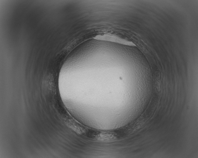 X0000083550270200702240119