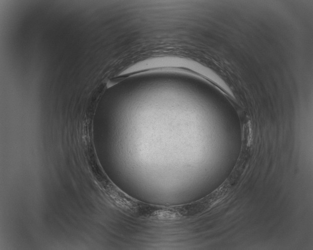 X0000083550272200702240119