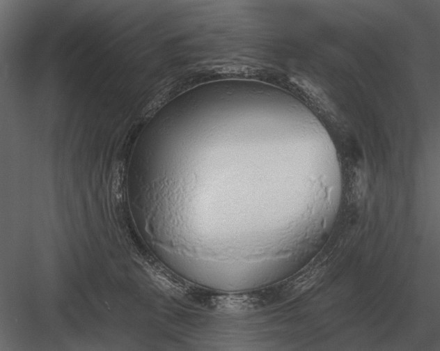 X0000083550273200702240119