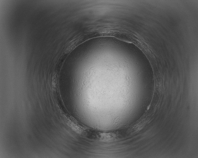 X0000083550277200702240119