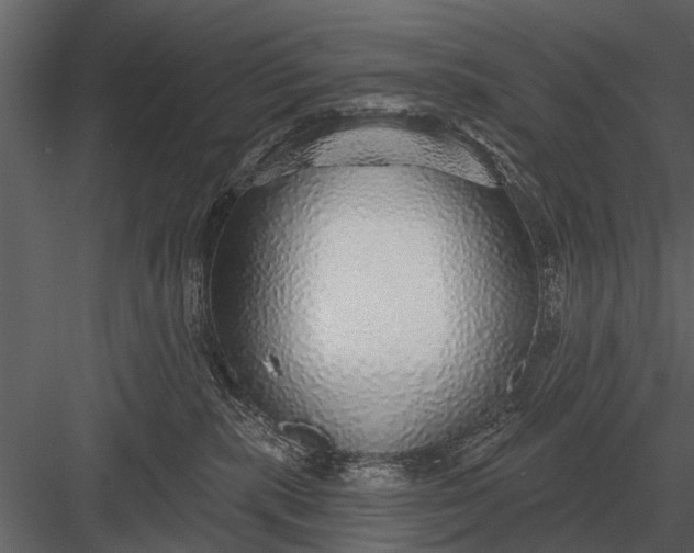 X0000083550283200702240119