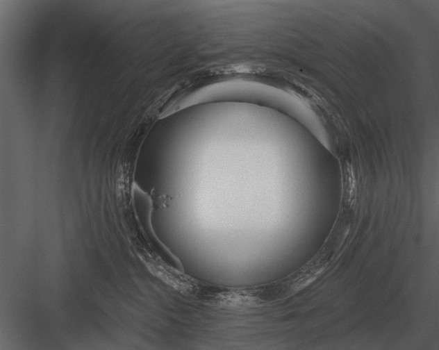 X0000083550284200702240119
